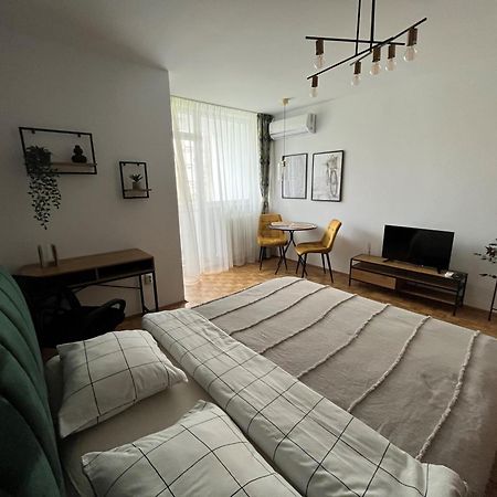C & A Apartments Κλουζ-Ναπόκα Εξωτερικό φωτογραφία