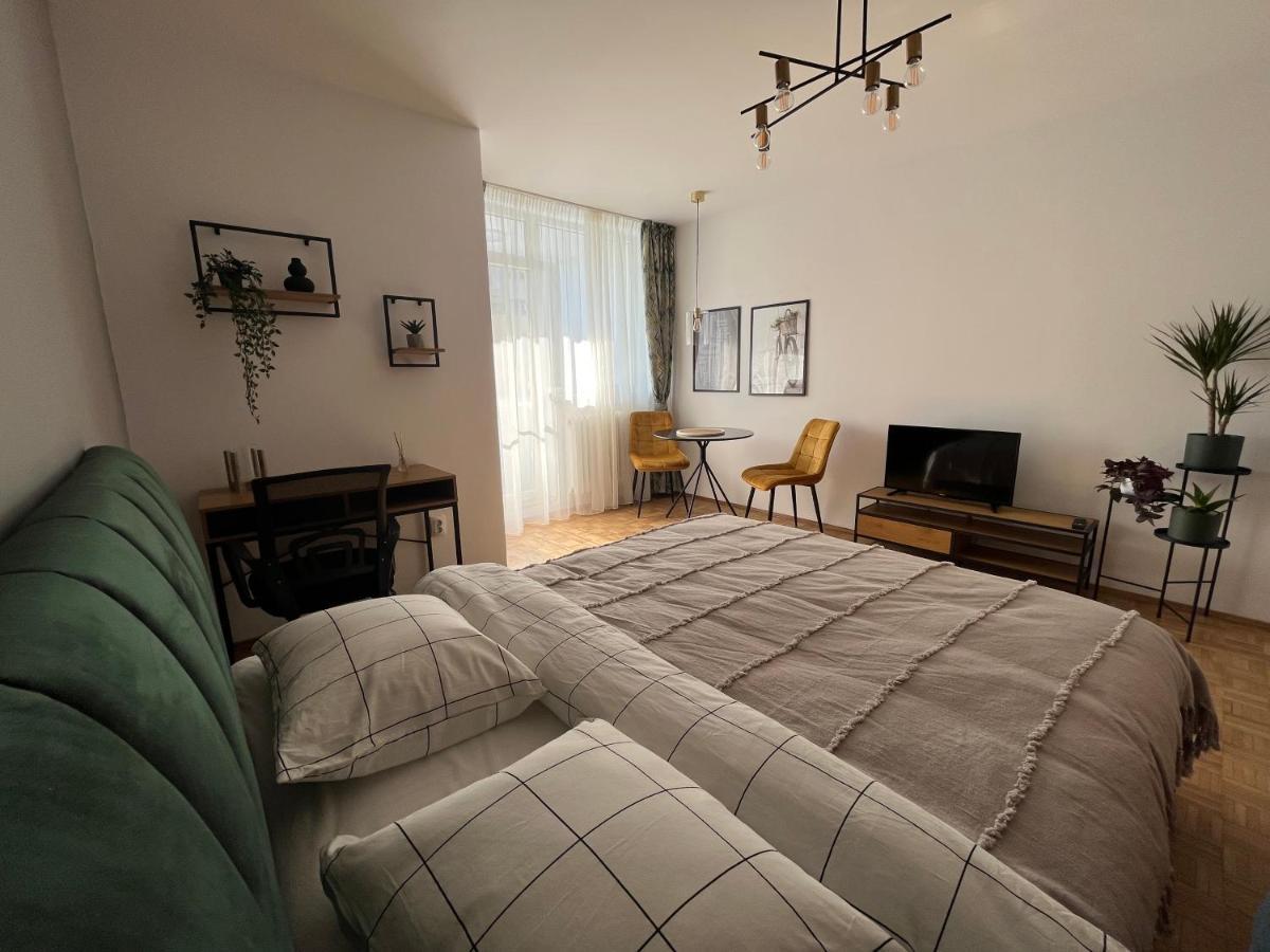 C & A Apartments Κλουζ-Ναπόκα Εξωτερικό φωτογραφία