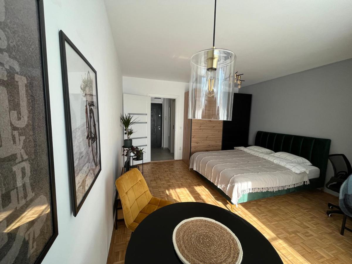 C & A Apartments Κλουζ-Ναπόκα Εξωτερικό φωτογραφία