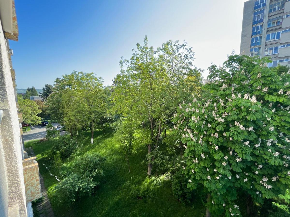 C & A Apartments Κλουζ-Ναπόκα Εξωτερικό φωτογραφία
