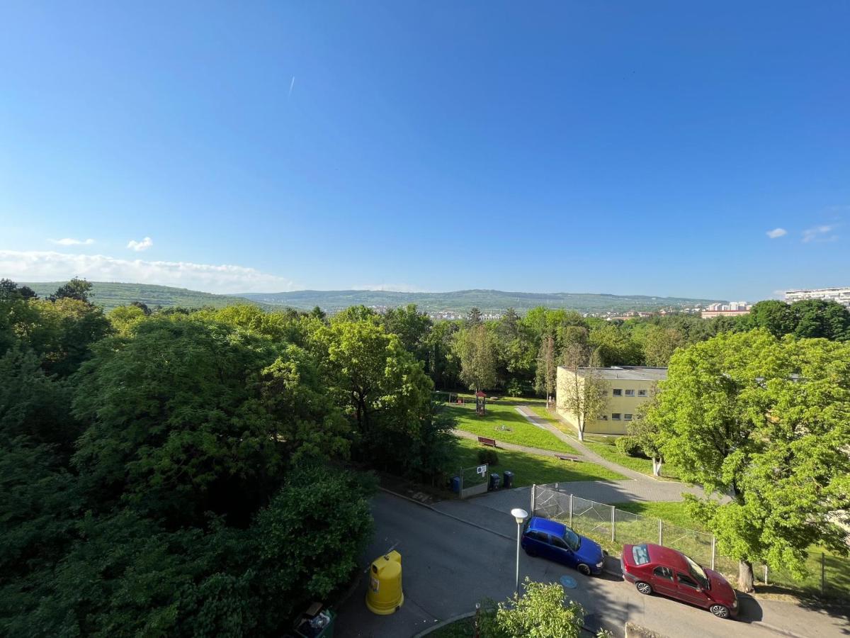 C & A Apartments Κλουζ-Ναπόκα Εξωτερικό φωτογραφία